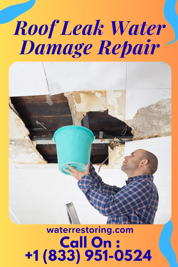 Roof Leak Water Damage Repair in Villard, MN